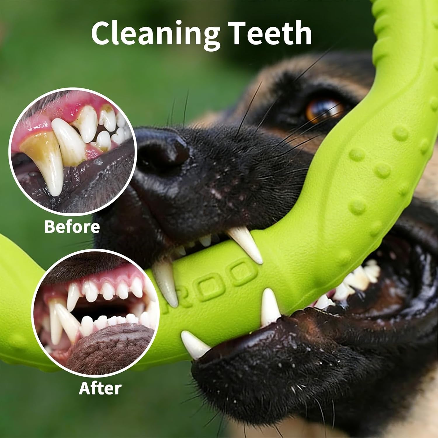 Dog Ring Toy Durable Flying Ring for Fetch, Water Play & Training | Tough Chew-Proof Design for Aggressive Chewer Breeds, Easy-Throw Lightweight Frisbee for Medium/Large Dogs(Green/30Cm)