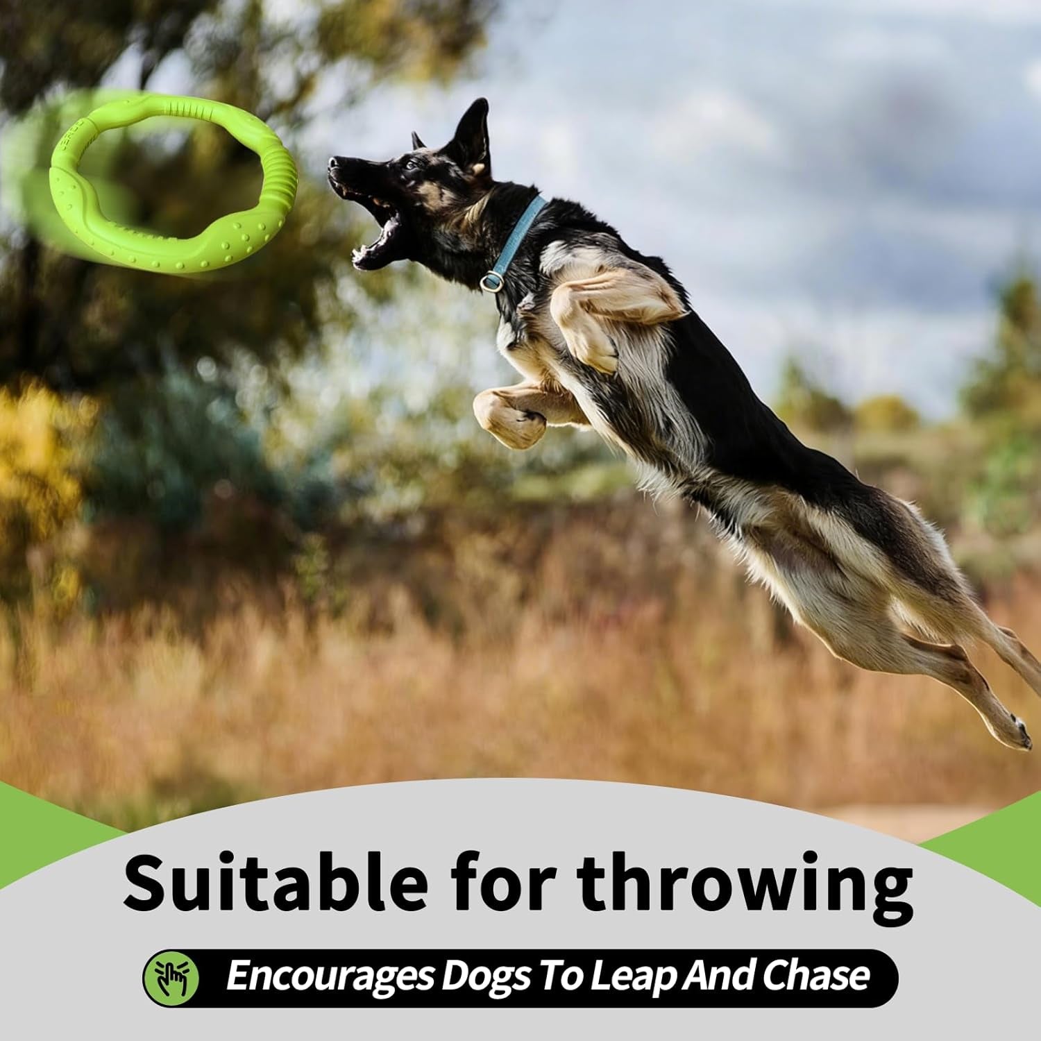 Dog Ring Toy Durable Flying Ring for Fetch, Water Play & Training | Tough Chew-Proof Design for Aggressive Chewer Breeds, Easy-Throw Lightweight Frisbee for Medium/Large Dogs(Green/30Cm)